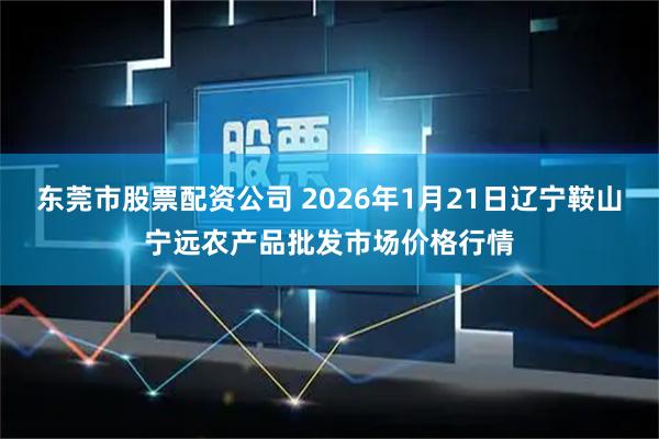 东莞市股票配资公司 2026年1月21日辽宁鞍山宁远农产品批发市场价格行情