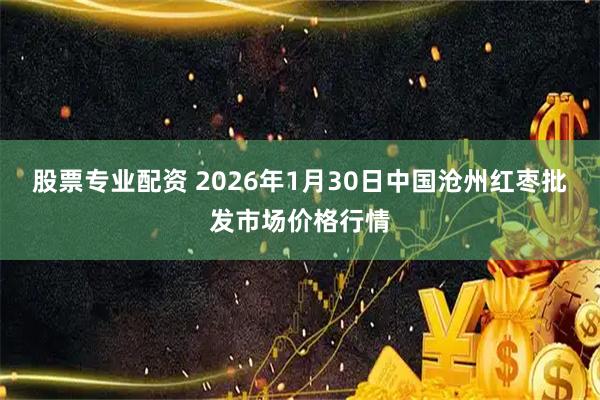 股票专业配资 2026年1月30日中国沧州红枣批发市场价格行情