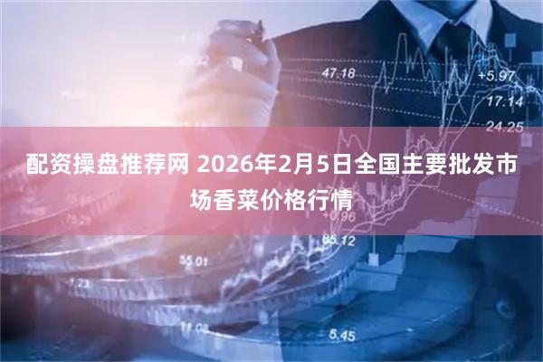 配资操盘推荐网 2026年2月5日全国主要批发市场香菜价格行情